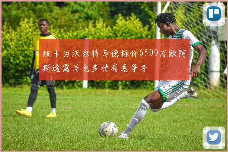 纽卡为沃尔特马德标价6500万欧阿斯透露马竞多特有意争夺